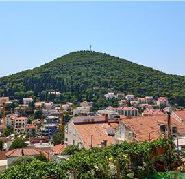2 bedroom apartment in Lapad, Dubrovnik, sleeps 3